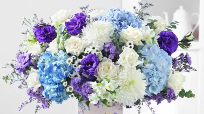 Exotic Blooms